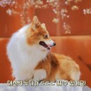 백년동물병원 이미지