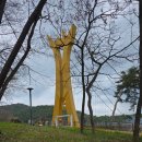 장성호수변길 | 🌸 봄바람 따라 떠난 힐링 여행, 장성호 출렁다리 &amp; 수변길 완벽 코스 🌿