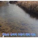 {2,450평 전원주택지}관리지역/홍천부동산,홍천토지매매}미산계곡/인제군 상남면 미산리＜동화공인중개사15-120＞ 이미지