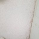 포스코더샾크리닝 이미지