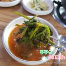 외정황토못메기(부천점) | [부천 작동 맛집] 외정황토못메기에서 점심으로 메기매운탕 먹었어요 :)