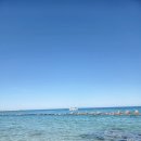 땅땅치킨 울진후포점 | 숨은 동해 여행지, 울진 후포 바닷가 물색 실화?