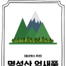 억새풀