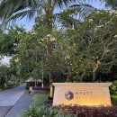 발리 | [발리여행] 사누르 | 하얏트 리젠시 발리 후기