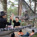 자연아이숲유치원 이미지