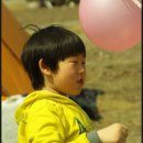 백일야영장 이미지