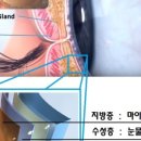 다시봄약국 이미지