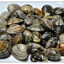 바디웰짐 이미지