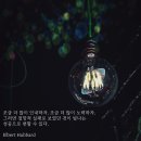 노력스터디카페 이미지