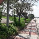 충남 논산 도로변의 다용도 토지 매매(면적 794㎡, 매 2억4천) 이미지