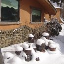 새하얀세상 이미지