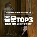 감귤박물관 야외화장실 | [제주 중문] 박물관은살아있다, 런닝맨, 감귤카트! 한 곳에서 즐기는 제주 핫플 3종 정복 후기 🎢