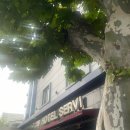 세르비모텔 이미지