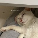 문지은미용실 | 2023,03월 l 봄바람 휘날리며-(부제: 뇌출혈 그 후 3년)