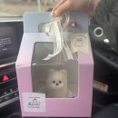 나나까까 이미지