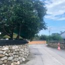 설악솔민박 이미지