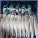 3월 28일(월) 목포는항구다 생선카페 판매생선[ "예약" 자반고등어(냉동), 홍어(국내산), 젓갈류 ] 이미지