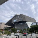 동안 | 블챌 기념 부국제 기간동안 영화 후기 뒷북