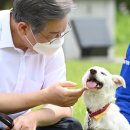 통일동물병원 이미지