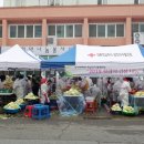 충남3호 Daum카페