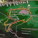 천주산 만남의 광장 | 창원 천주산 진달래 군락지 최단코스 등산 후기