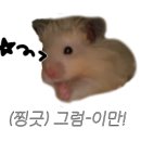 보광수산센터 이미지