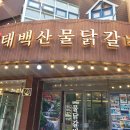 청솔길 | &lt;태백 맛집&gt;태백산물닭갈비 :: 물닭갈비 맛집 / 치즈볶음밥 맛집 / 강원도 태백 필수코스 음식