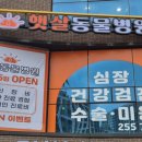 햇살동물병원 이미지