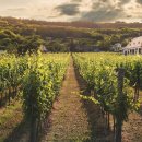 친환경농장 이미지