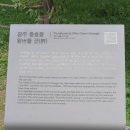 흥양조경 | 담양 시가문화유적의 문화재