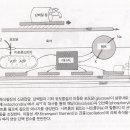 교감신경계를 통해 전달되는 통증 이미지