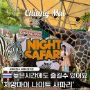 시간 | 치앙마이 필수코스 나이트사파리 입장료 공연시간 후기 꿀팁 총정리