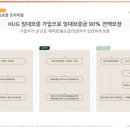 노아르