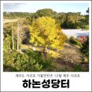 서ㆍ호근동 | 제주도 서귀포 가볼만한곳 12월 제주 서귀포 하논성당터