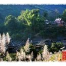 운남보이차 이미지