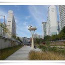 당현천주변 이미지