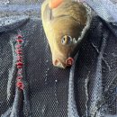 상무매점 | 광주 낚시카페 상무낚시터 솔직후기, 어린이도 즐기는 실내 낚시