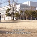 머슬아트