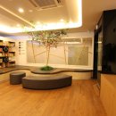 연세웰키즈치과의원 이미지