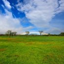 주경목장 이미지