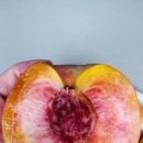 이례농장 이미지