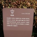 연화공원 부산타워 네이버블로그