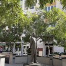 바람모아공원 | LA 조슈아트리 투어, 줌줌투어 모아트립 내돈내산 솔직후기, 별사진 찍는 꿀팁, 사진스팟