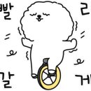 또꽃