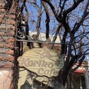 감성가득 천 채색화 | [홍대/가좌역] 지브리 감성 가득한 동화속 카페 코리코카페 내돈내산 후기