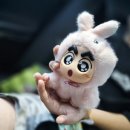 인형뽑기대왕 이미지