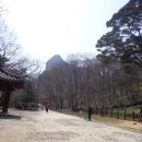 수전동[서] Daum카페