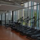 헬스장 용평리조트 피트니스센터 평창 대관령면 가격 후기