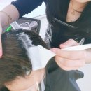 살롱엘(salon L) | 가려운 두피 포항 이동미용실에서 두피클리닉받은 후기 살롱엘헤어