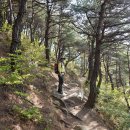 모악산 관광안내소 이미지